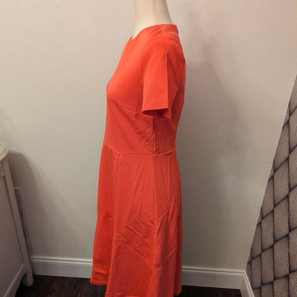 Ann Taylor Short Sleeve Flare Dress NWT - Picture 6 of 12